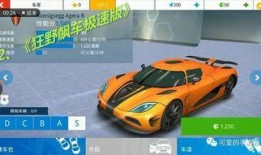 新奇爆料赛车游戏视频大全