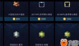 王者夏日盛典爆料视频,揭秘精彩爆料，畅享清凉狂欢盛宴